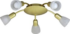 Soma - stropná bodová lampa - zlaté - 5x40W